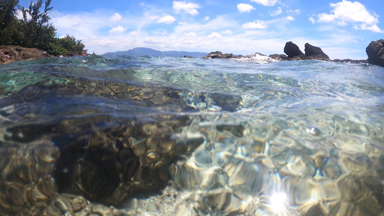 Shark's Cove, Oahu