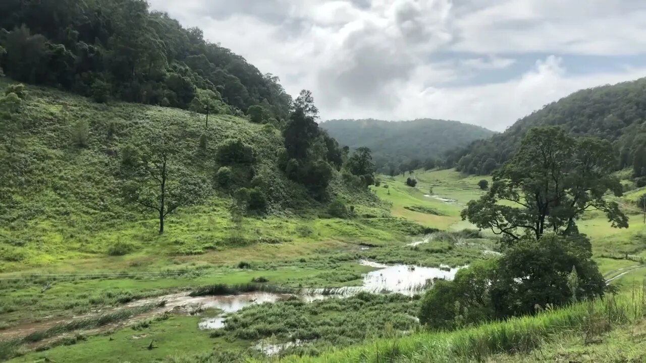 Morning flood check, day 4. Waters receded. Expecting a third flood tomorrow