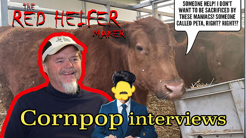 Cornpop interviews Byron Stinson, The Red Heifer breeder