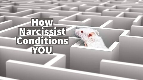 How Narcissist Conditions YOU