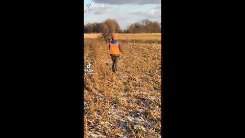 Close encounter with young whitetail