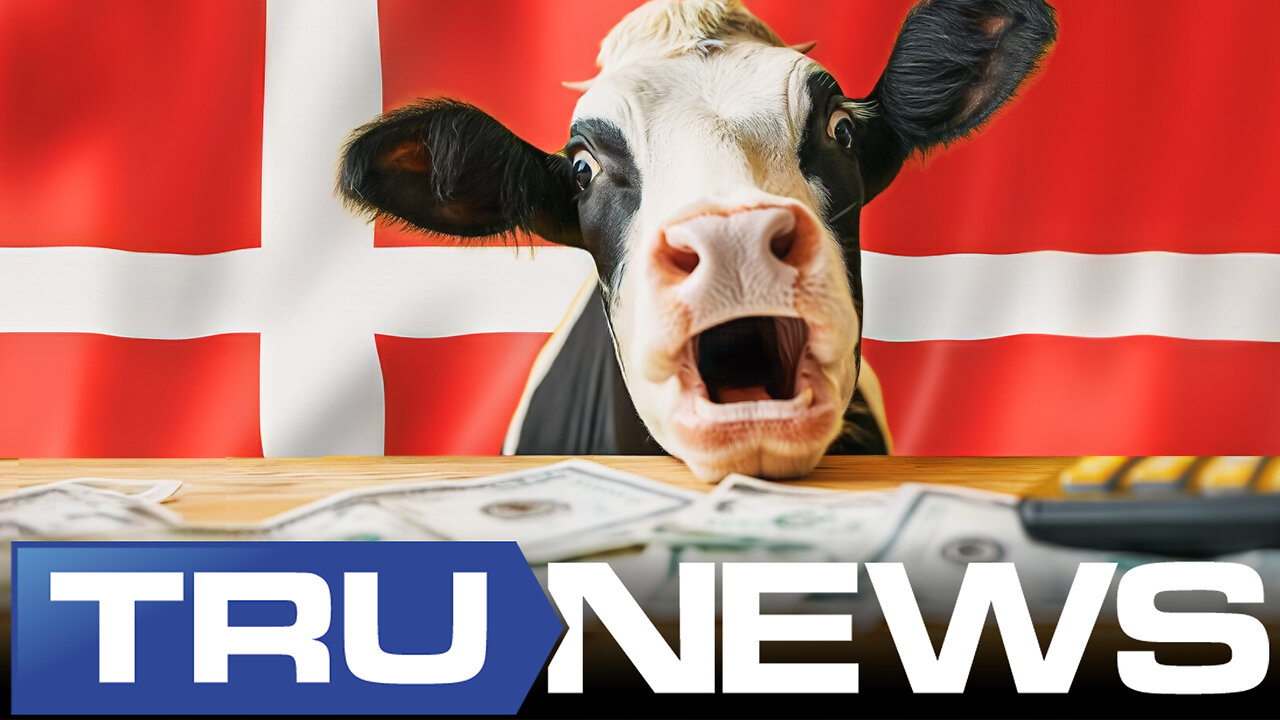 Denmark Enacts World's First Tax on Livestock