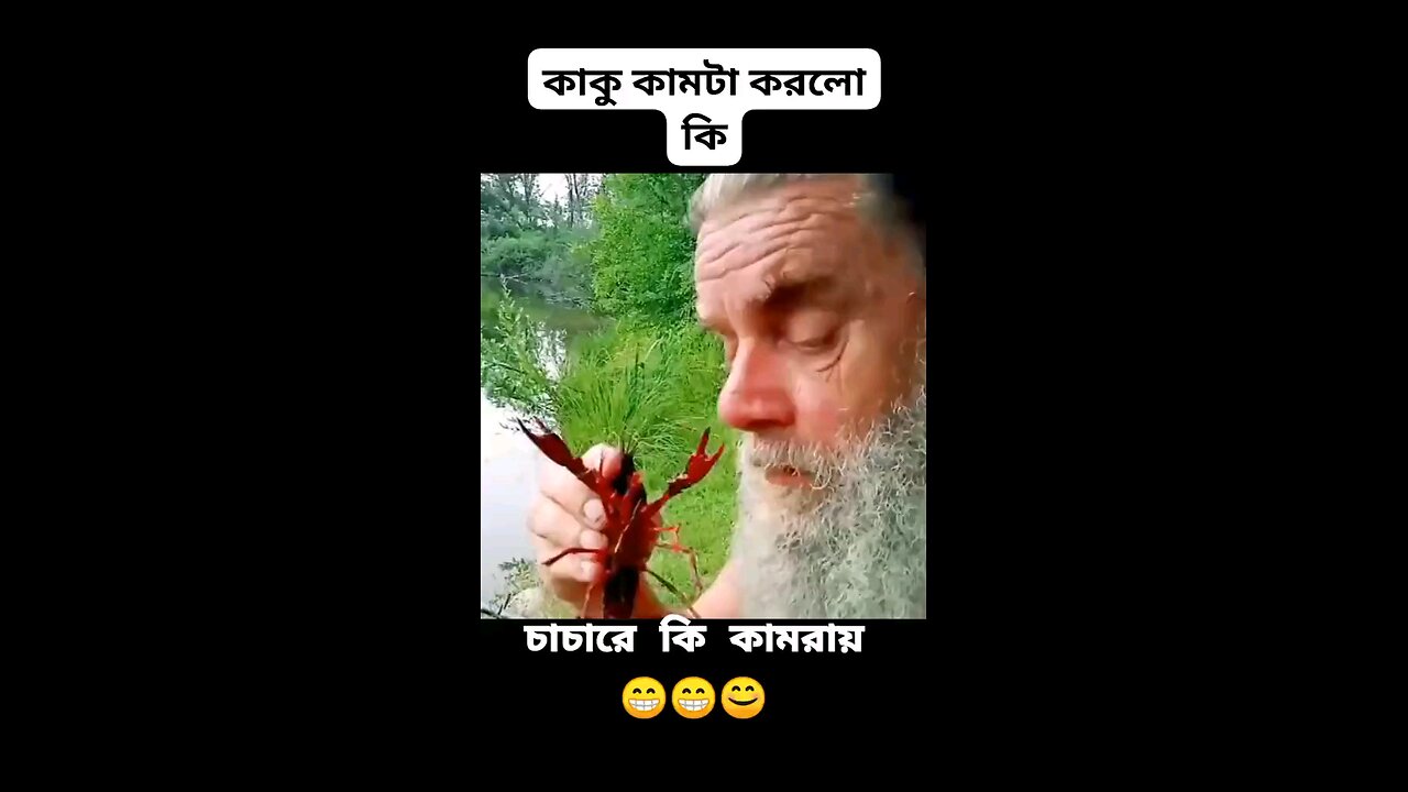 Look at the condition of the crow