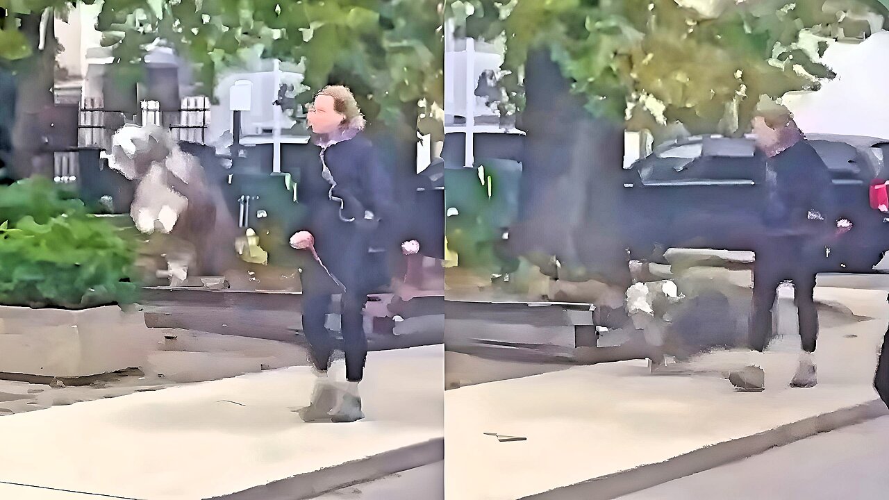 The dog jumps up to the owner's height out of excitement