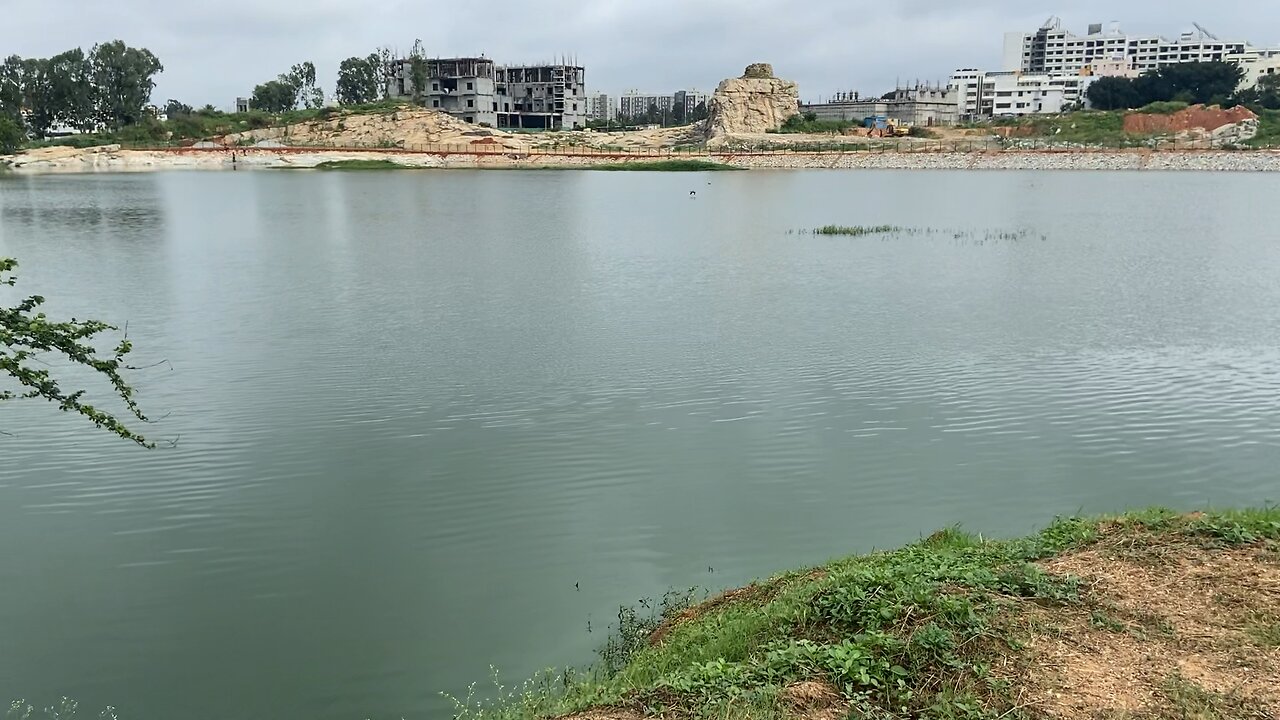 Bengaluru Sampigehalli lake Part 1