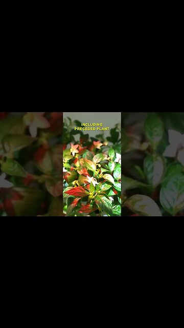 Make Your Garden SMART! #smartgadgets #shorts #gadgetsforeveryhome #coolgadgets