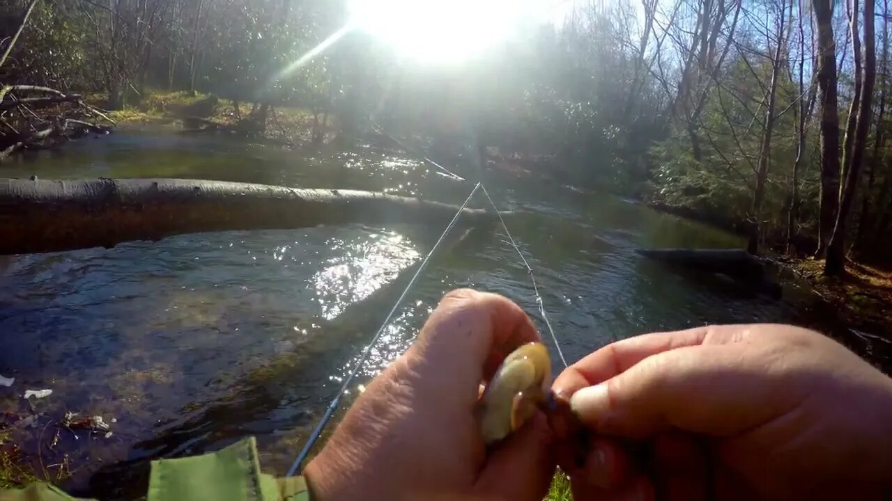 Small Native Trout Opening Day