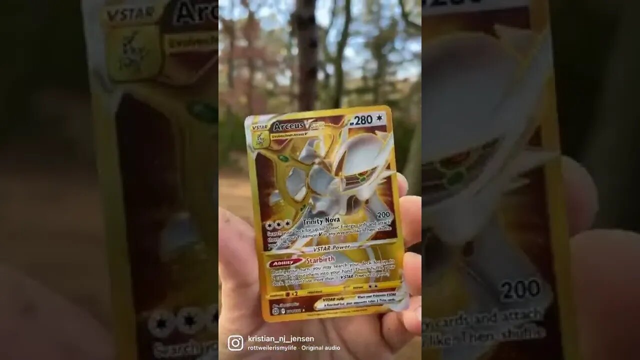 Pokémon In the wild￼