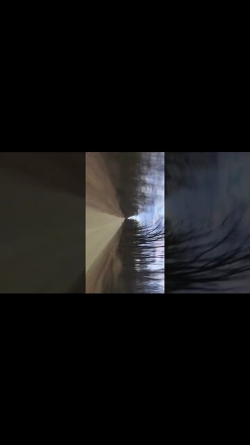 Two snails on two wheels - Riding together | #shorts