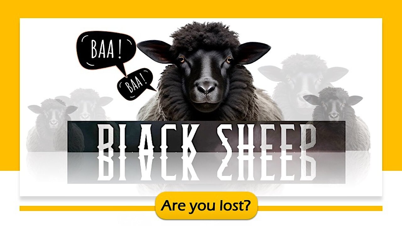 Baa Baa Black Sheep are you lost?