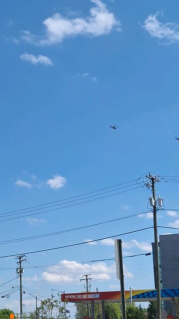 "They can't help themselves..."