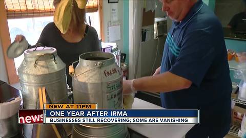 Popular Tampa sandwich shop still serving one year after Hurricane Irma destruction