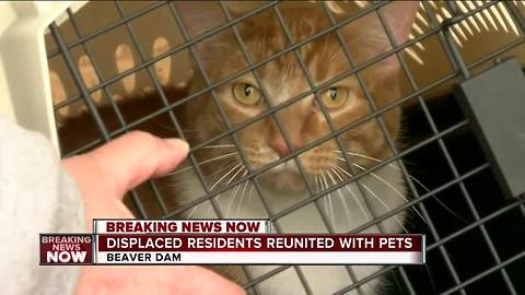 Displaced residents reunited with pets after Beaver Dam explosion