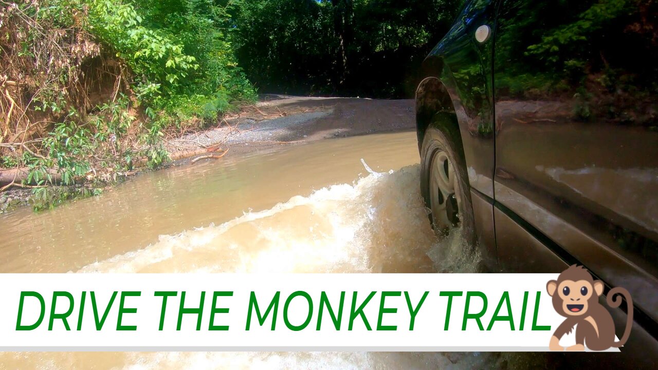 DRIVE THE MONKEY TRAIL // Winding Costa Rica Road + River Crossing [tourism][2022]