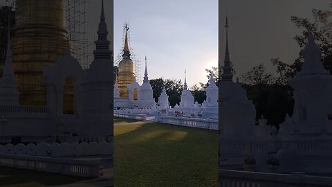 Wat Suan Dok Temple Chiang Mai Thailand 🇹🇭 #shorts #Thailand #chiangmai #Temple #expat #travel