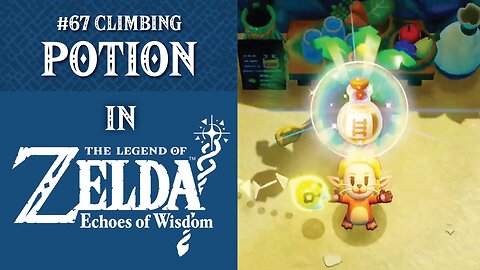 #67 Climbing Potion | The Legend of Zelda: Echoes of Wisdom