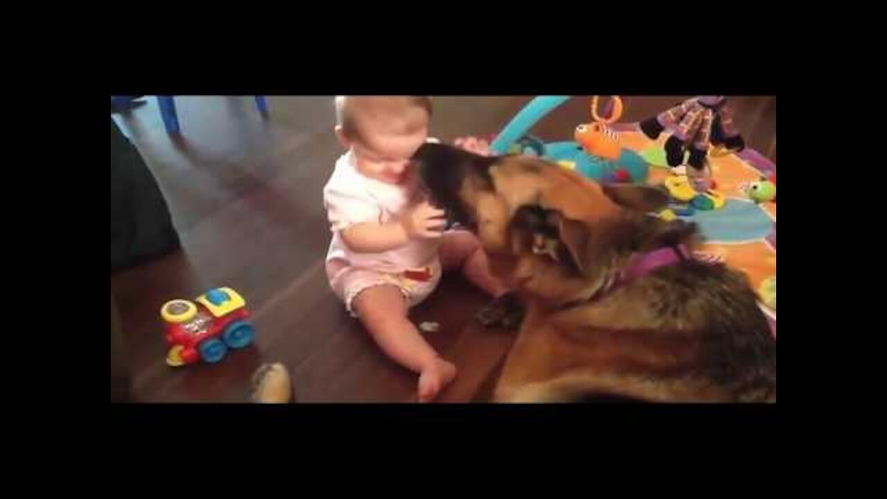 Baby And Dog Funny Video So Funny dont laugh