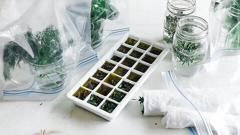 How to Store Fresh Herbs » Preserving and Extending the Life of Your Herbs