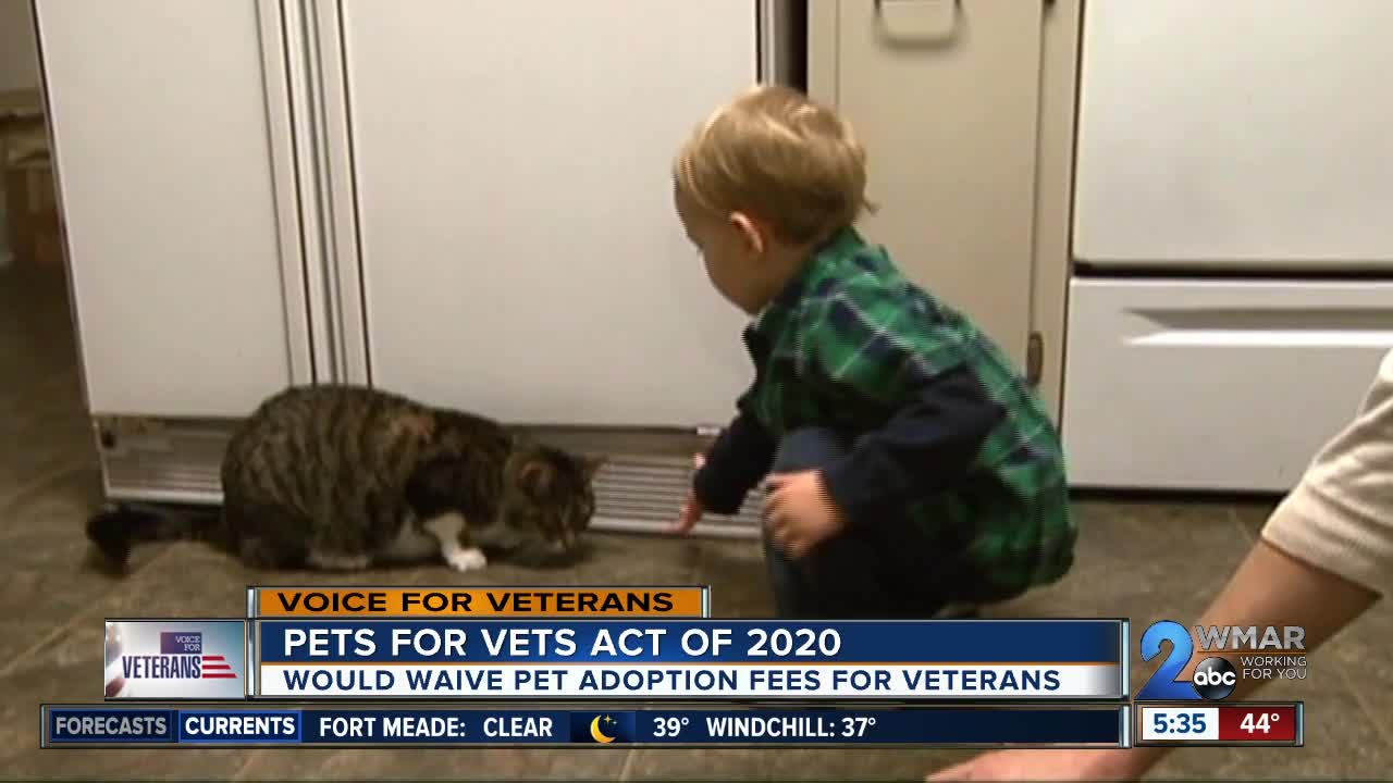 Pets for Vets Act of 2020 would waive adoption fees for veterans