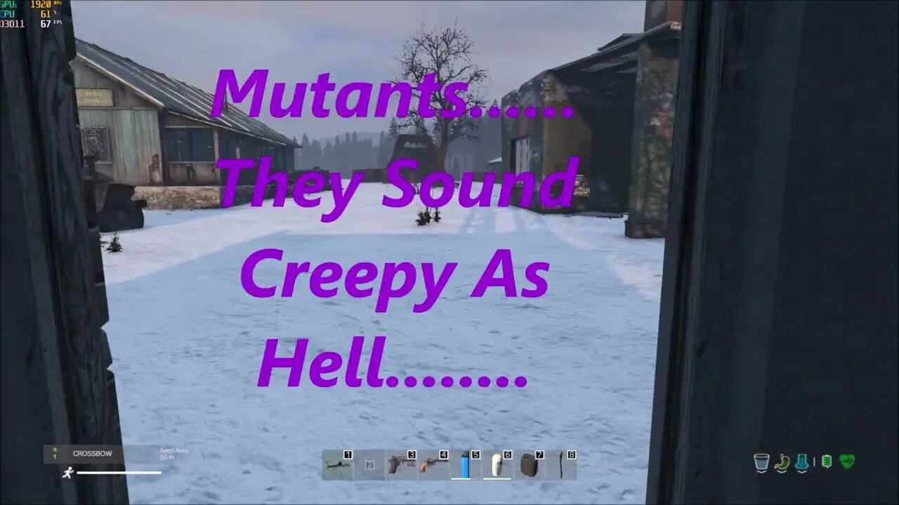 Crossbows & Mutants #DayZ #NCS #pcgaming