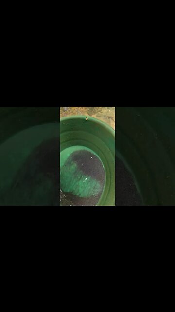 Can you profit from this?