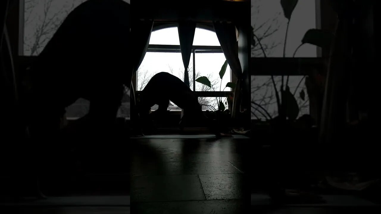 artistic dark sun salutations