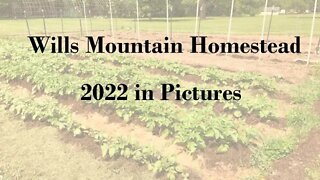 2022 - Year Review in Pictures