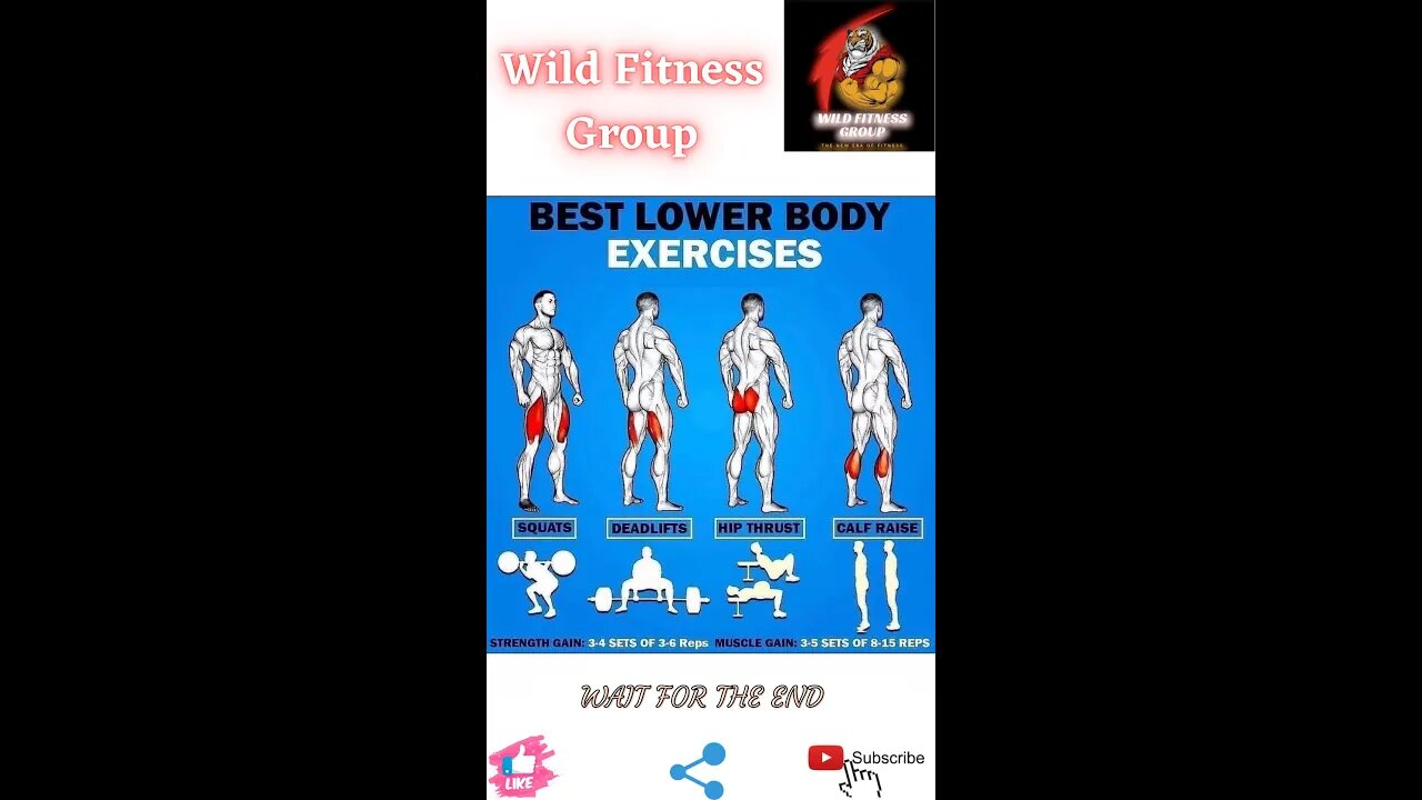 🔥Best lower body exercises🔥#shorts🔥#viralshorts🔥#fitnessshorts🔥#wildfitnessgroup🔥