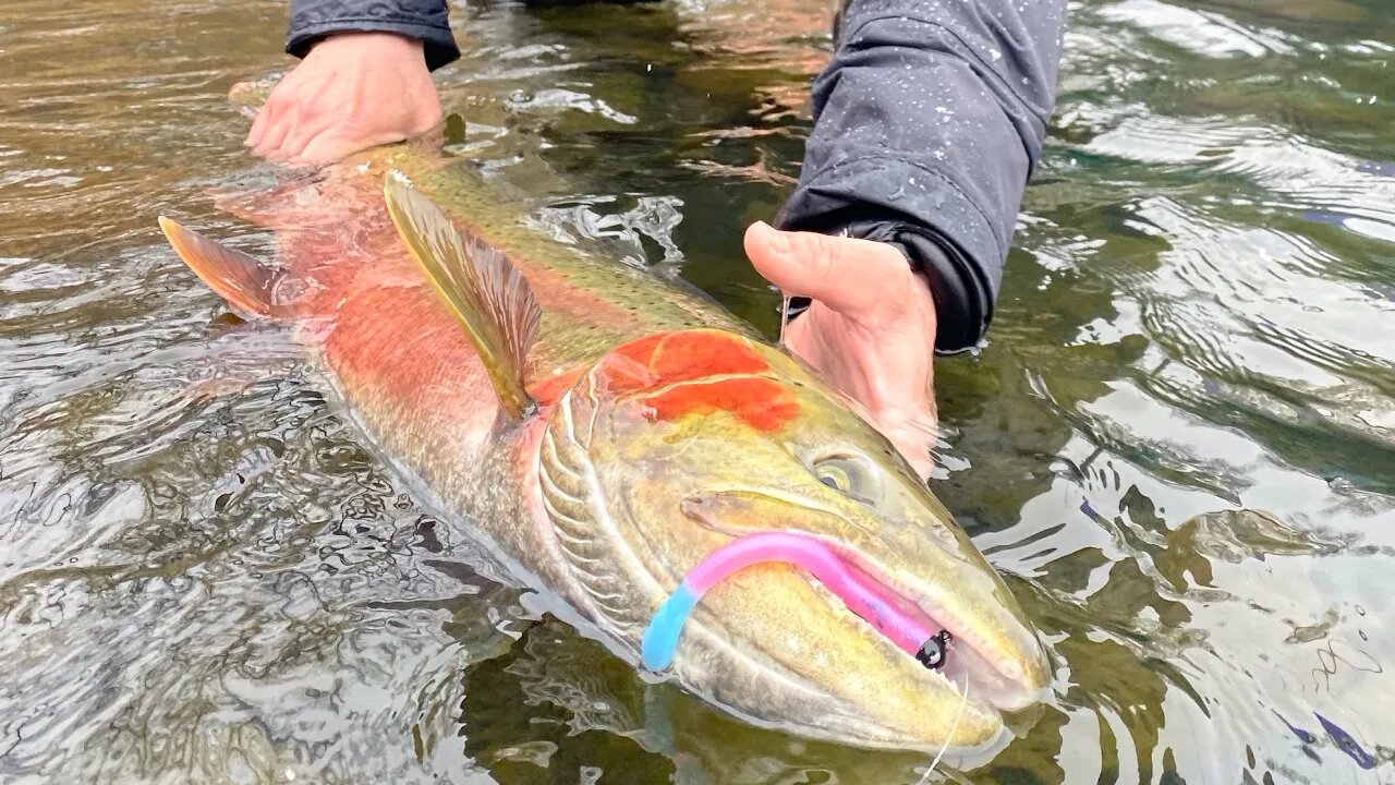 Washington Fishing Finally OPENS BACK UP!