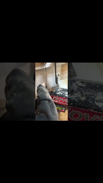 Cool feature on my nova dvr Saturn that save my back #shorts #woodworking #trending #tools