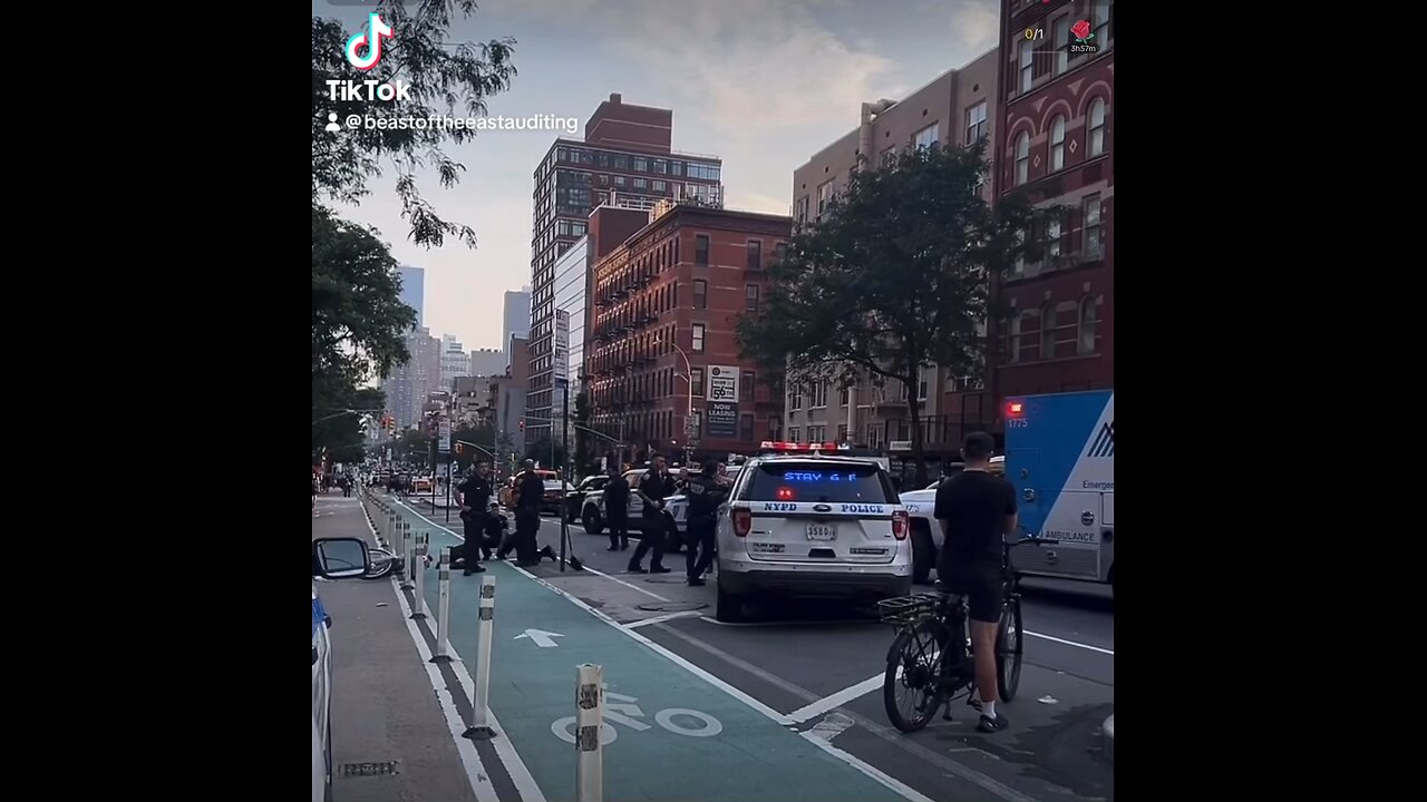 7/29 Tt audit New York accident