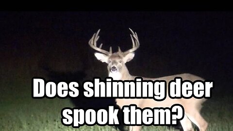 Does Shinning Deer Ruin Spots?