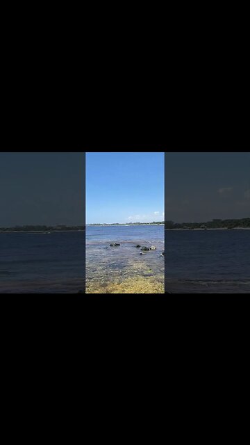 Living The Marvel Fan Lifestyle