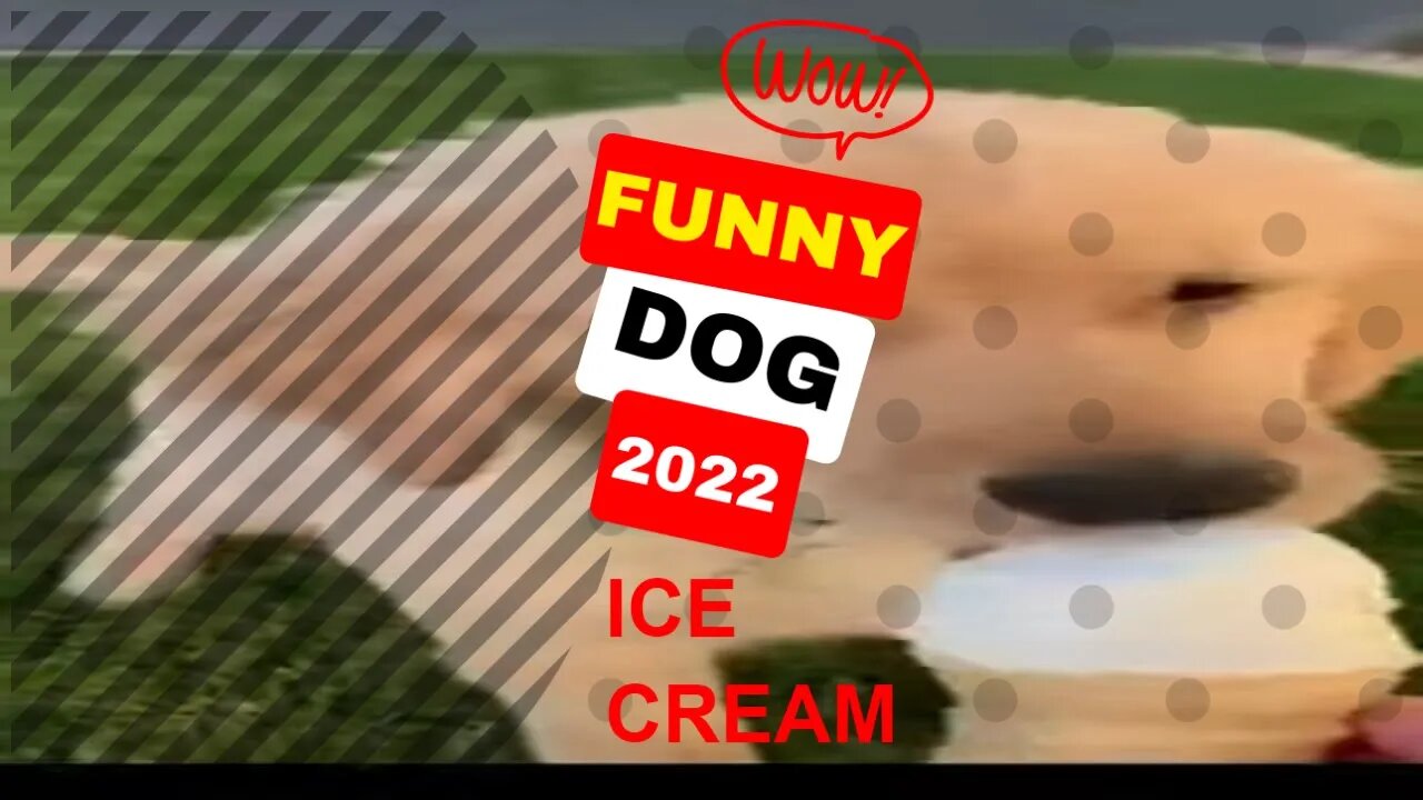🤣Funny Dogs eating Ice Cream 2022 Video Clips #shorts