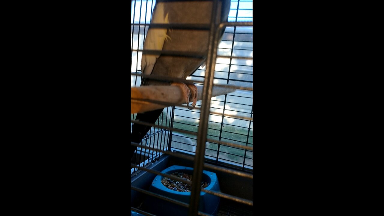 Love this little guy