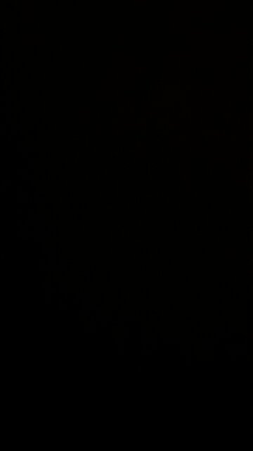 DeSantis to consider Gaetz for Florida senate?