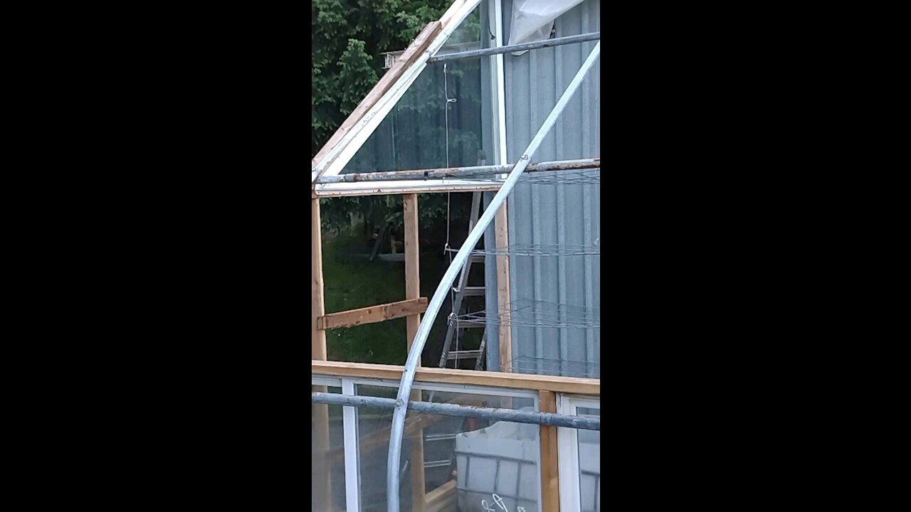 Windows and walls greenhouse