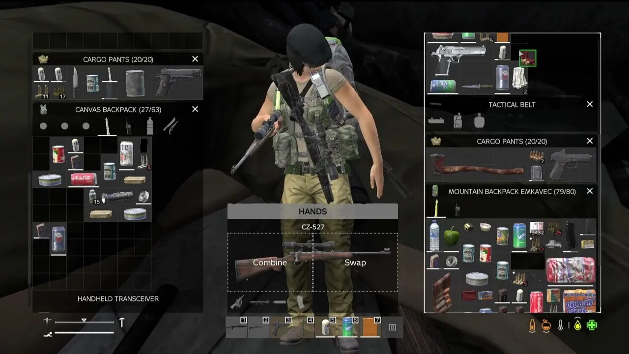 What A Rollercoaster Of A Return To DayZ
