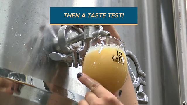 From the tap to your tab: 12 Gates