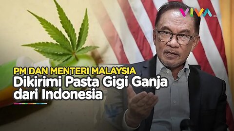 Kata Menko Malaysia yang Terima Paket Pasta Gigi Ganja dari Indonesia