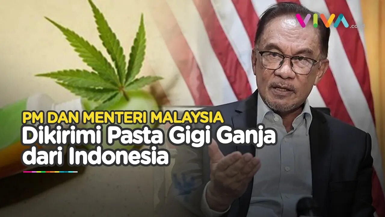 Kata Menko Malaysia yang Terima Paket Pasta Gigi Ganja dari Indonesia
