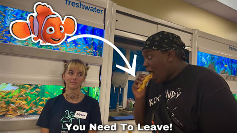 Eating Fish In A Fish Pet Store! |KenKraz|