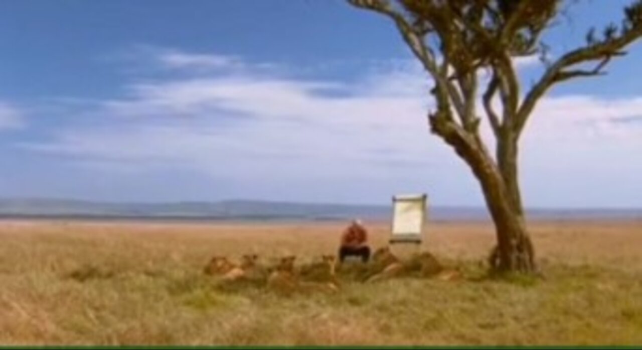 Funny TV Commercial Teaching Lions to Listen