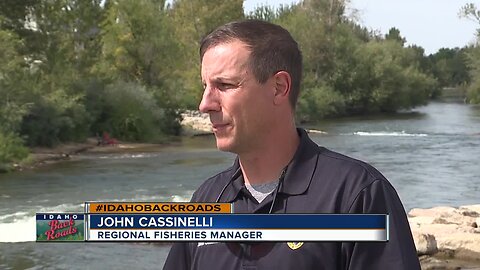 Surfers share Boise River with resident fish