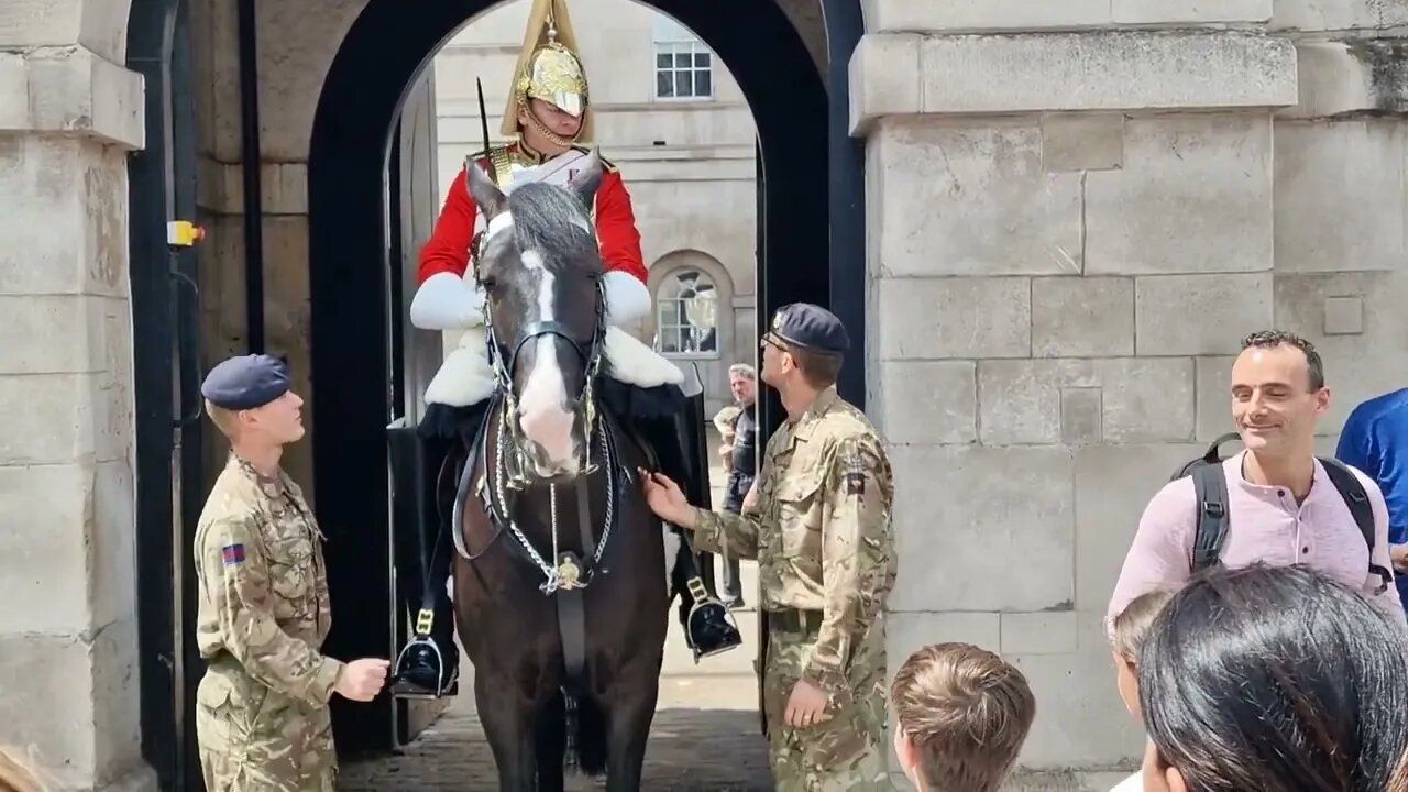 OMG so many tourists grabbing the reins guard shouts make way tourist's are in the way of the horse