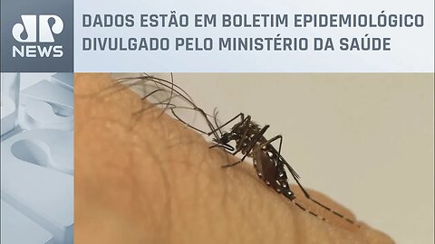 Brasil registra mais de mil mortes por dengue em 2022