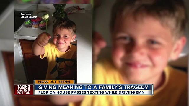 Riverview parents fight to end distracted driving after their son was killed in crash