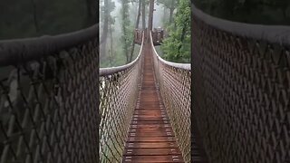 Anakeesta Tree Canopy Walk Gatlinburg
