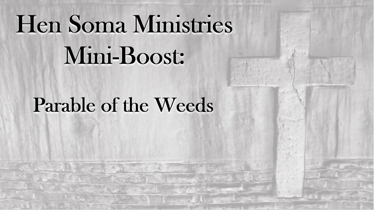 Hen Soma Ministries Mini-Boost: Parable of the Weeds