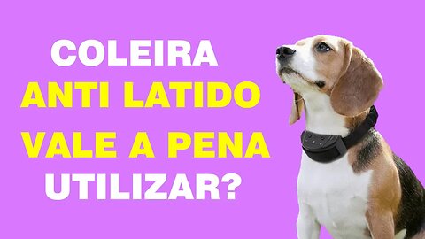 Coleiras Anti-Latido: Vale a Pena Investir? Descubra Aqui!